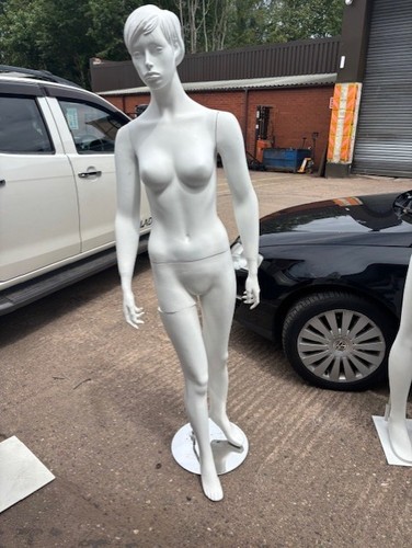 Full body mannequin - full, torso