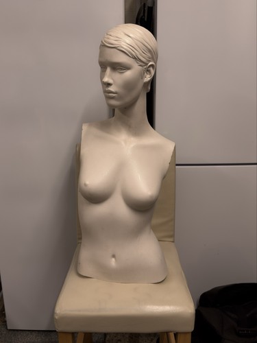 Female mannequin torso half - female,