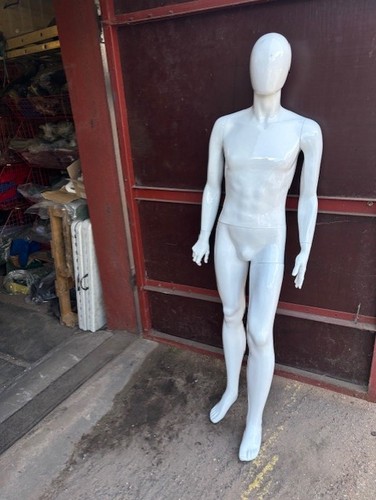 Full body mannequin - mannequin, torso