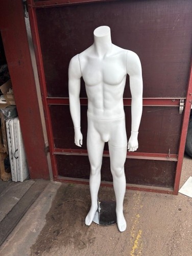 Full body mannequin torso - full,